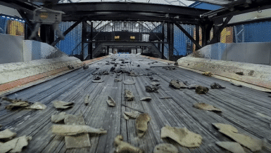 Introducing Scrap Metal for Robotic Sorting