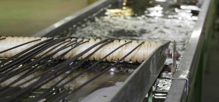 Axion Polymers Successfully Renews ISO 9001 Certification