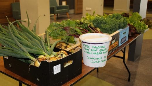 Tidy Planet Celebrates 5-Year Composting Partnership with UK Students’ Union