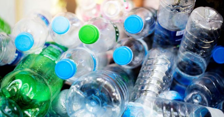 Pet Recycling: Towards A Circular Economy