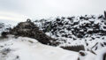 TANA Shark Shredding 14 000 Tons of Old Tyres in Estonia