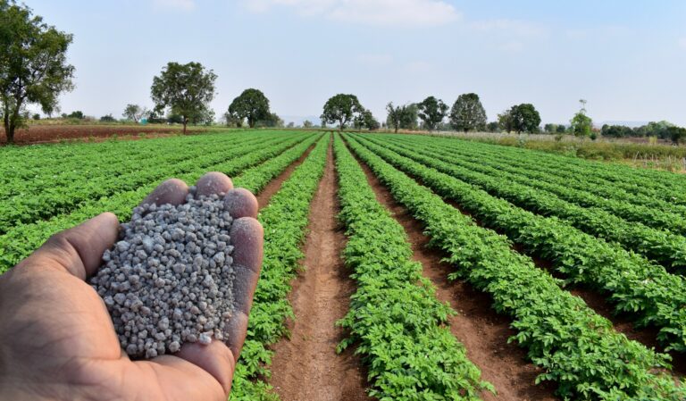 Innovative Comprehensive Solutions for Environmentally Compatible Phosphorus Recovery