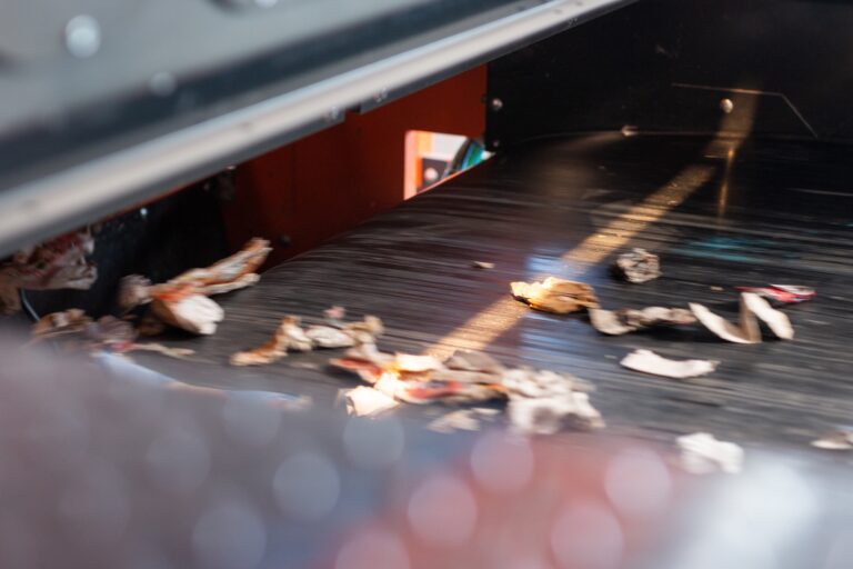 Embracing Smart Machinery: Lubo’s Innovative Approach to Sorting
