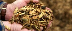 Are Shredders Replacing Grinders for Wood Waste?