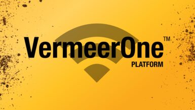 Vermeerone
