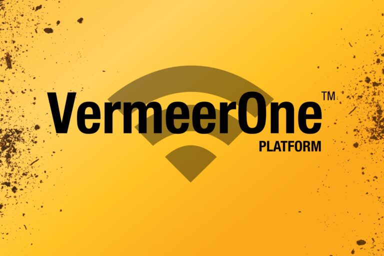 Vermeerone