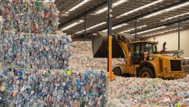 Waste Management