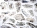 Establishing the Tray-to-Tray Recycling Market: Technology, Scale and Challenges