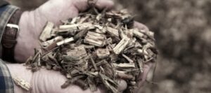 Key Takeaways in Wood Recycling for 2026: Technologies, Trends, and Transformative Innovations