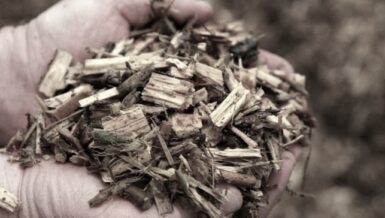 Key Takeaways in Wood Recycling for 2026: Technologies, Trends, and Transformative Innovations