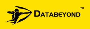 Databeyond Technology Co., Ltd. logo