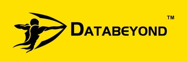 Databeyond Technology Co., Ltd. logo - RecyclingInside