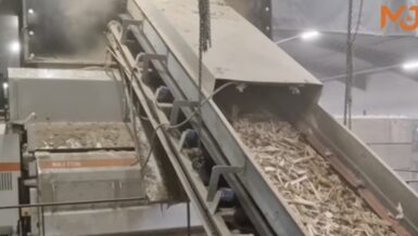 M&J F320e electric fine-shredder in a waste processing hall, with shredded waste wood travelling up an inclined discharge conveyor