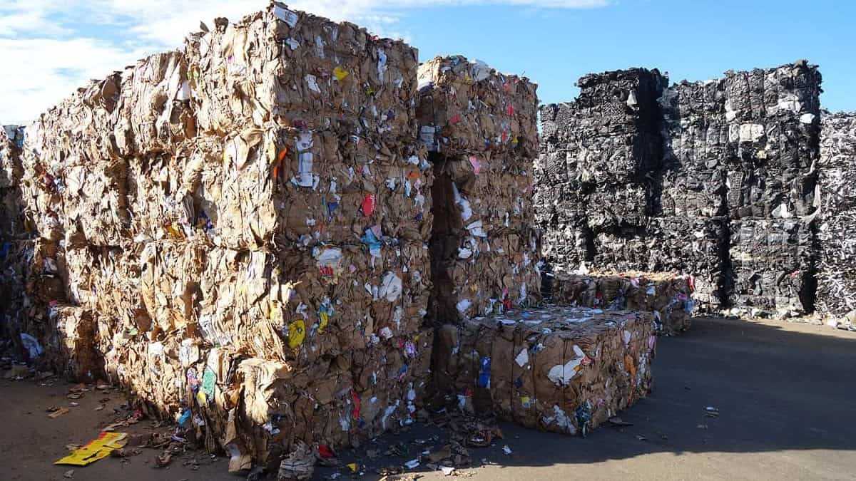 Tall stacks of tightly compressed corrugated cardboard bales outdoors under a blue sky